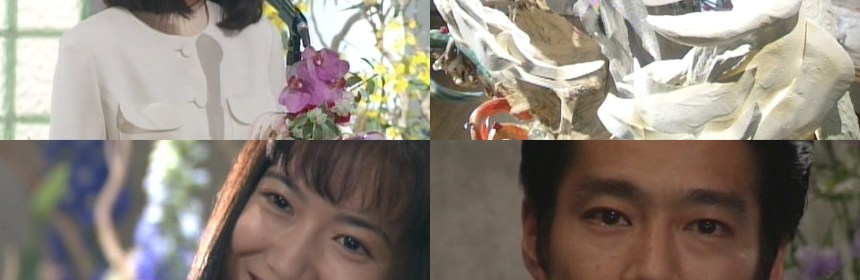 Wakui Emi, Tsutsumi Shinichi