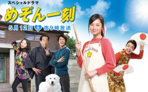 Maison Ikkoku poster