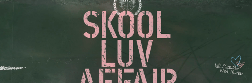 Skool Luv Affair sampler